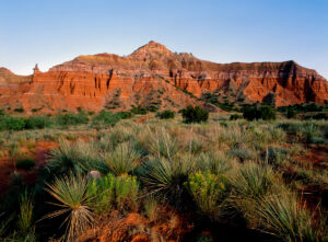 A landscape of West Texas land.